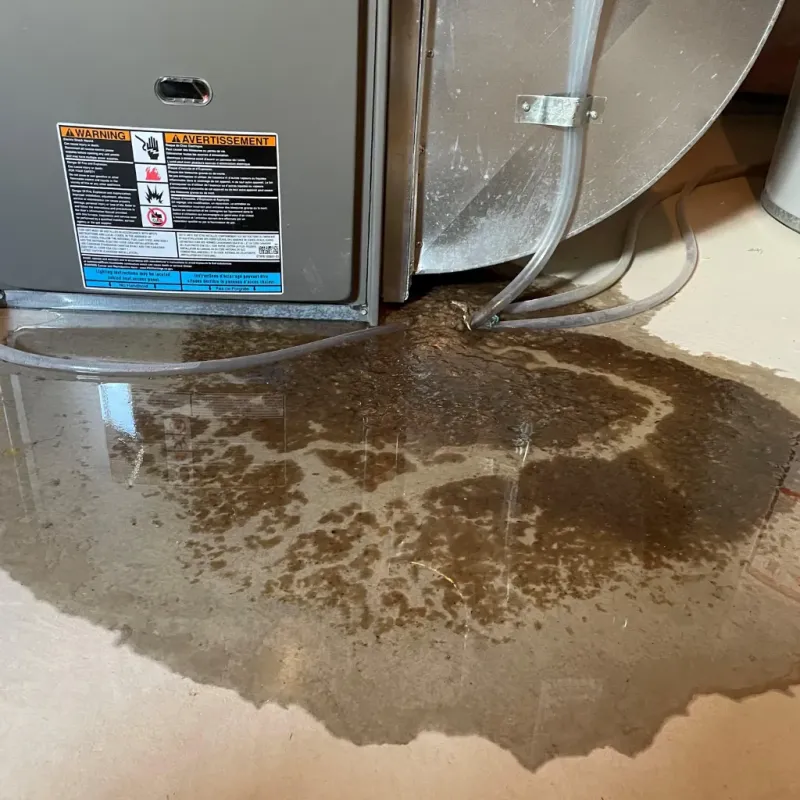 Appliance Leak Cleanup in Travelers Rest, SC