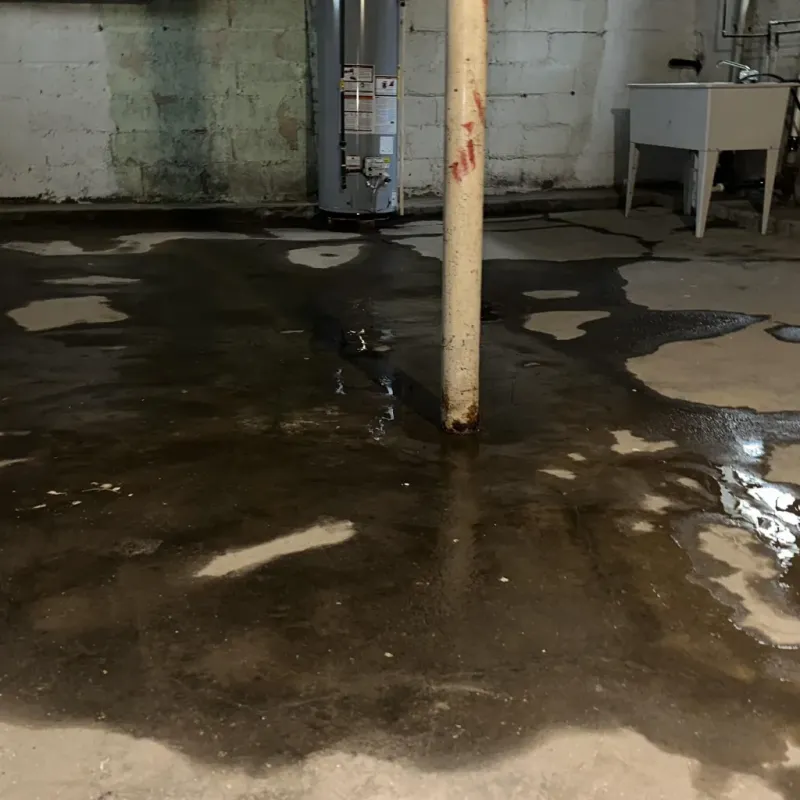 Emergency Water Extraction And Removal in Travelers Rest, SC